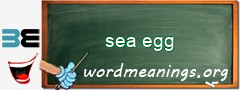 WordMeaning blackboard for sea egg